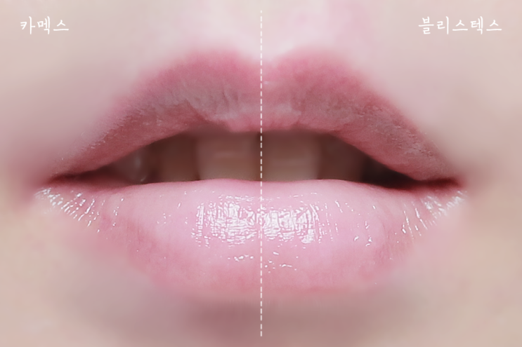  카멕스 립밤 vs. 블리스텍스 립메덱스 립밤 비교 분석