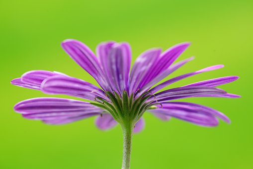  언어를 바꾸면 모든 것이 아름답다