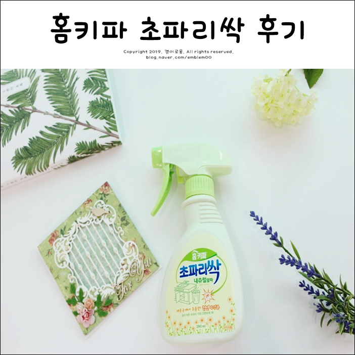 홈키파 초파리싹 날파리 트랩 대신 초파리 없애는 법 홈키파 초파리싹 날파리 트랩 대신 초파리 없애는 법