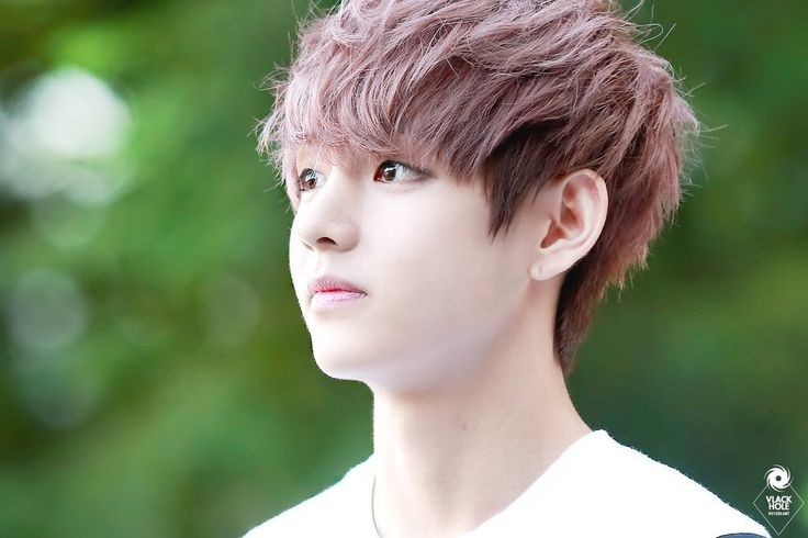  방탄소년단 뷔