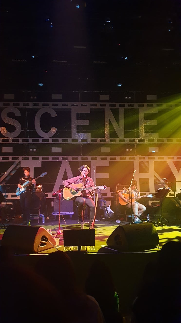  섹시한 남성미를 물씬 풍기던 남태현 콘서트, Scene