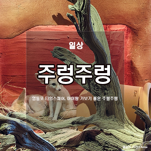  영등포 타임스퀘어 주렁주렁 : 서울 이색데이트