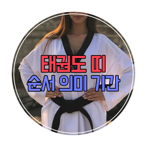  얍얍 태권도 띠 순서