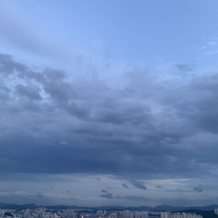 7월 일상 TMI