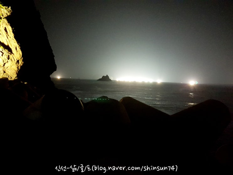  [신선-삶·글·프] 울릉도 기행 5-새벽을 깨우는 오징어 할복 현장, 저동항 어판장
