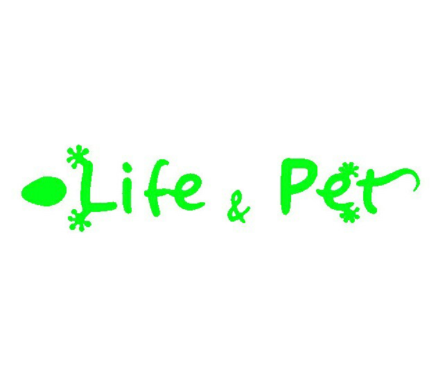  "Life &pet" 분양리스트 (2019.08.01)