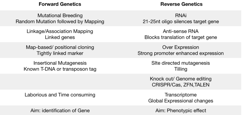 [Basic Biology] Forward genetics vs Reverse genetics. : 네이버 블로그