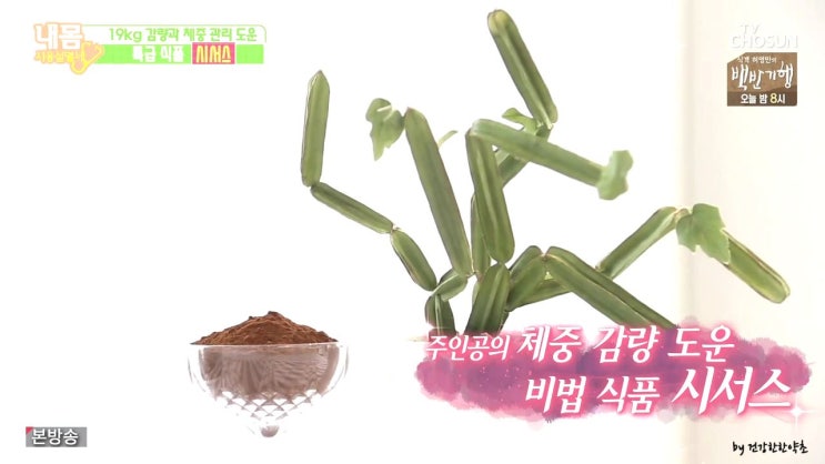  시서스 효능 다이어트?