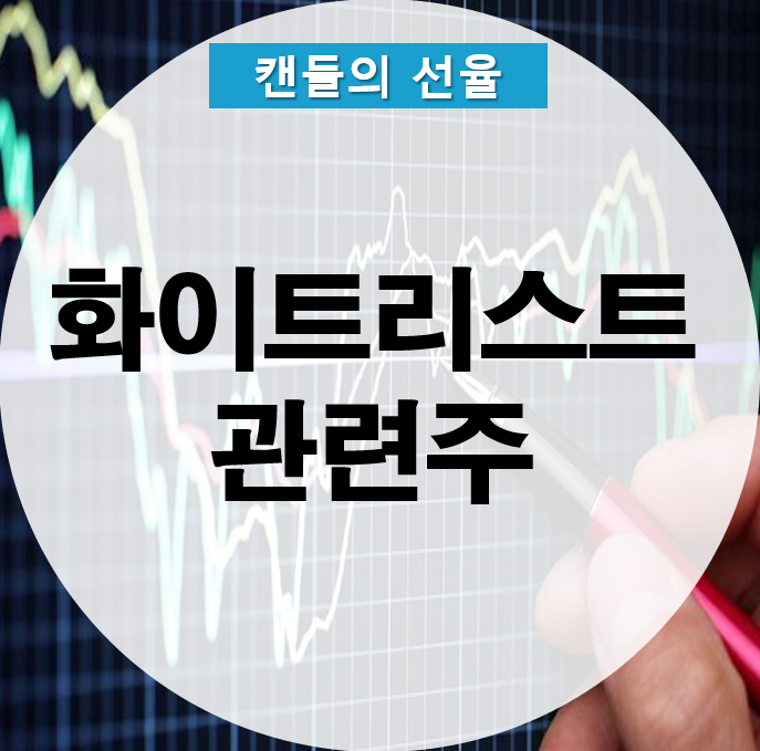 화이트리스트 관련주 &lt;램테크놀로지,미국주식 매매&gt;