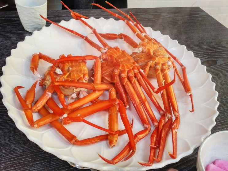 동탄 남광장 홍게를 원없이 먹을 수 있는 속초붉은대게 홍게무한리필