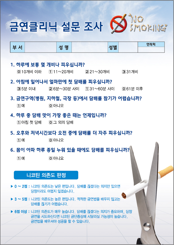 금연설문조사서 금연클리닉 금연설문지 니코틴 의존도 판정 금연설문조사서 금연클리닉 금연설문지 니코틴 의존도 판정