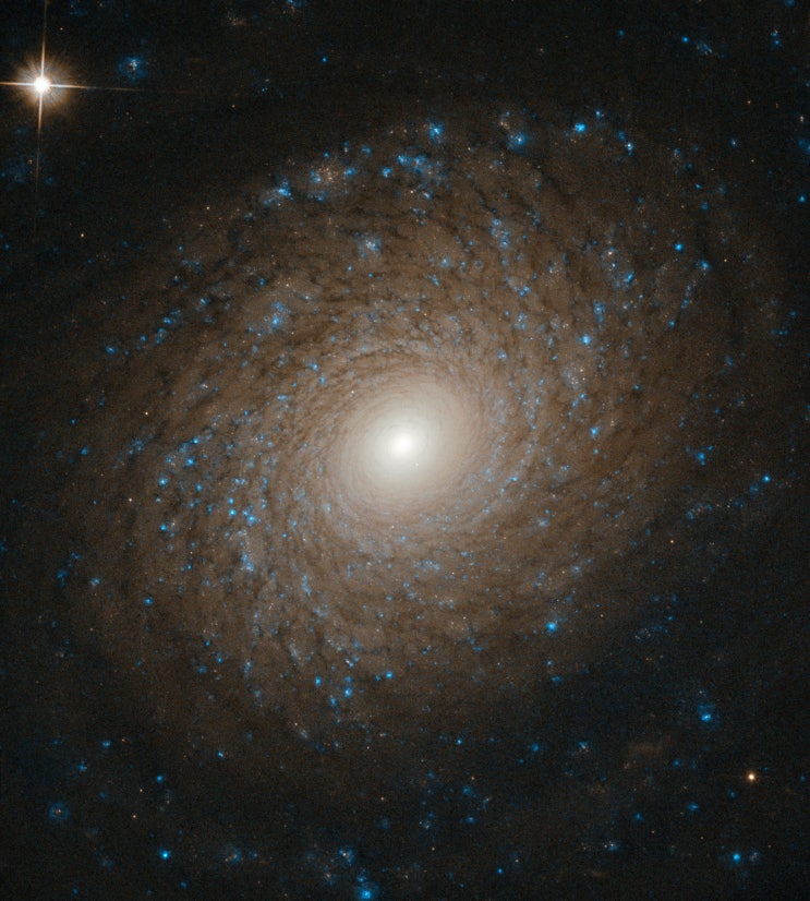  크고 아름다운 나선은하 NGC 2985와 나선은하의 비밀