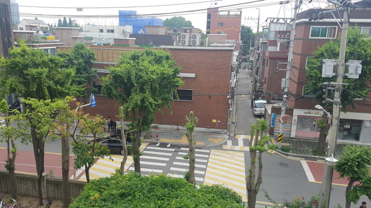 암수살인물오른 <암수살인> 주지훈의  청주시내 대형견카페