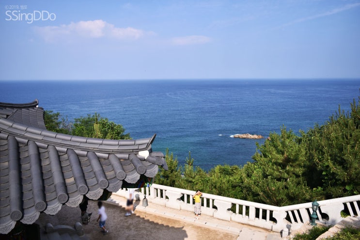  양양 낙산사 꽤 걷지만 경치는 멋있다!