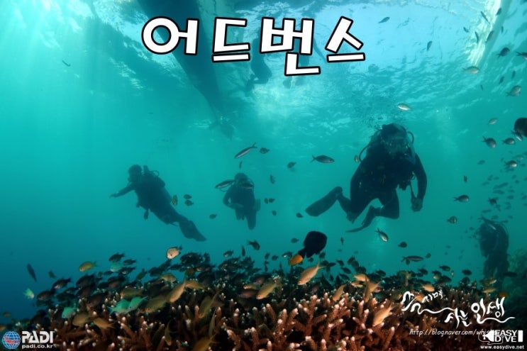  [세부 이지다이브] 어드번스 오픈워터 자격증 따기 1일차 