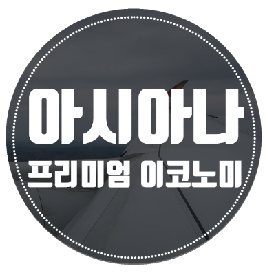  아시아나항공 인천 -> 샌프란시스코 이코노미스마티움 좌석 솔직 후기  #기내와이파이 #기내Wifi #비행기Wifi