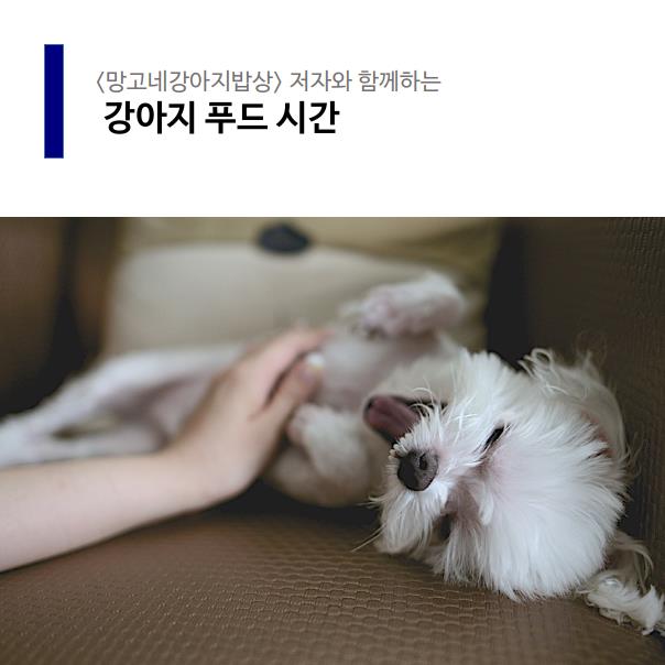  [반려동물 영양 전문 교육] 한국반려동물영양협회 전북지회 여름특강 펫푸드4주 교육과정 안내_06