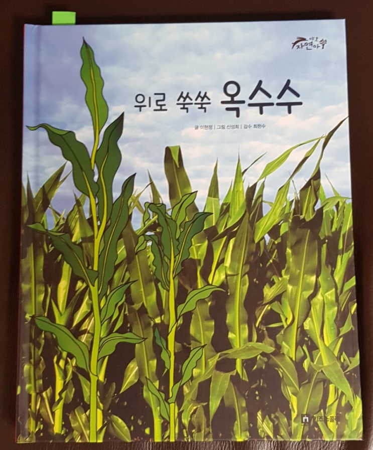  300일 독서#2 위로위로 쑥쑥 옥수수