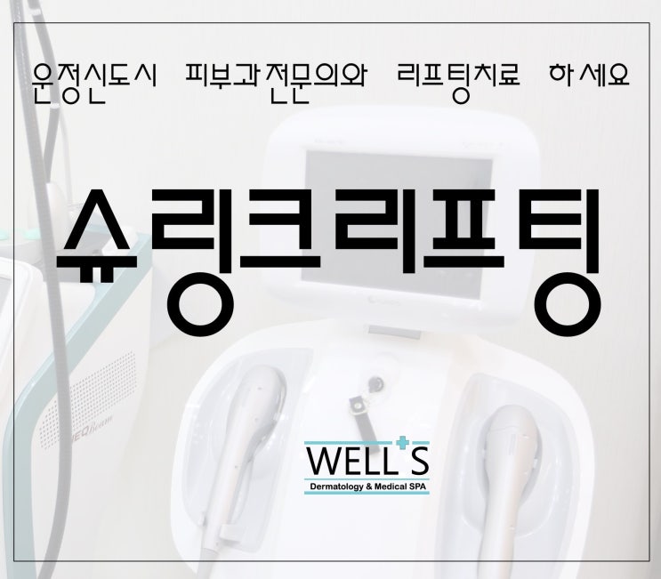  파주운정 슈링크레이저 , 리프팅시술 로 탄력있는 피부만들기 - 웰스피부과