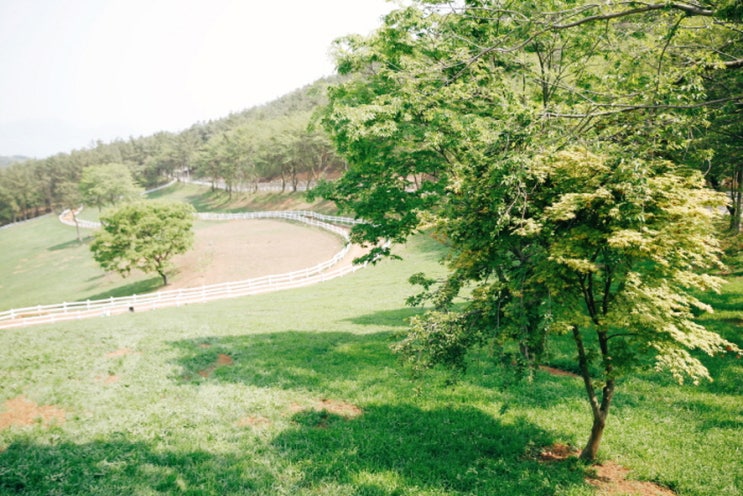  국내여행할만한곳 BEST 4 추천 :)