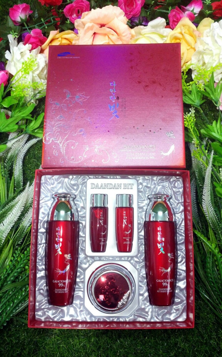  <Daandan Bit> premium hanbang 3set