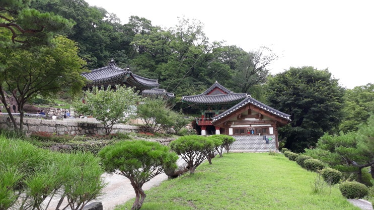  용문사 2,