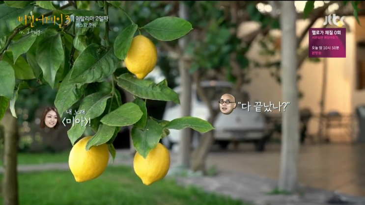  JTBC 비긴어게인3 :: 3회 거리의 소음마저 음악이 되는 순간