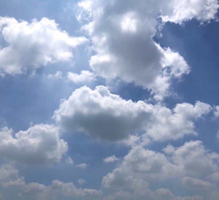  #2; 2019.08.02