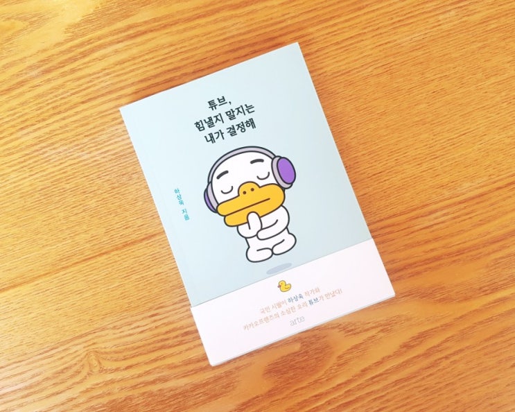  튜브, 힘낼지 말지는 내가 결정해 / 하상욱 / 아르테