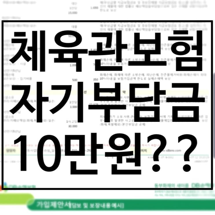 체육관을 위한 종합보험 체육관보험비교 자기부담금10만원짜리 체육관보험 DB손해화재보험