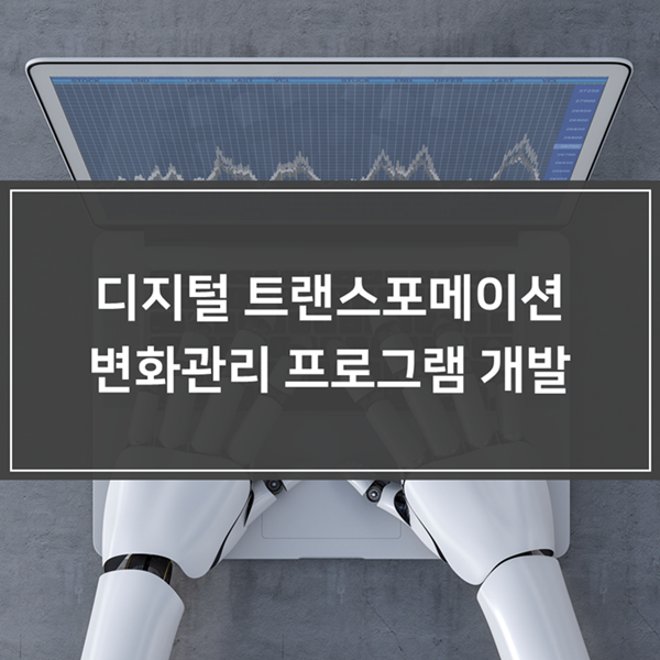  디지털 트랜스포메이션 변화관리 - K사, 프로그램 개발 사례