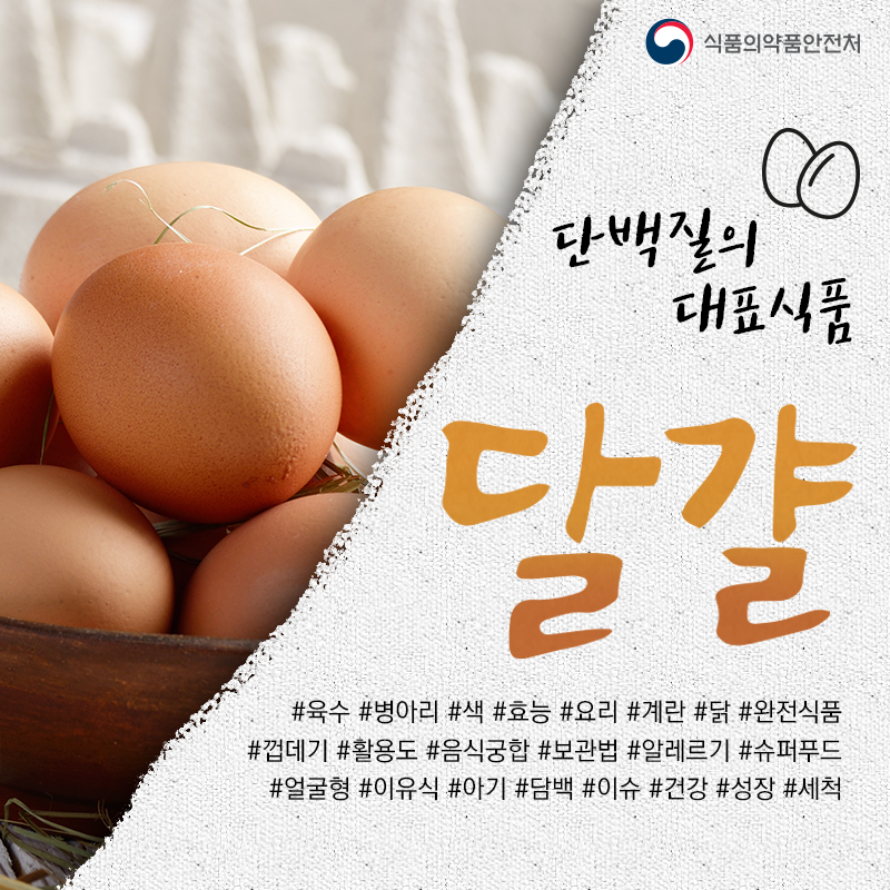 단백질 대표 식품 '달걀' 파헤치기! : 네이버 블로그