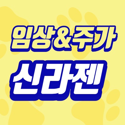  신라젠 주가 DMC 펙사벡 임상 잠이안온다
