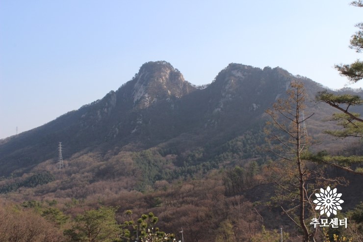  일산수목장을 소개합니다