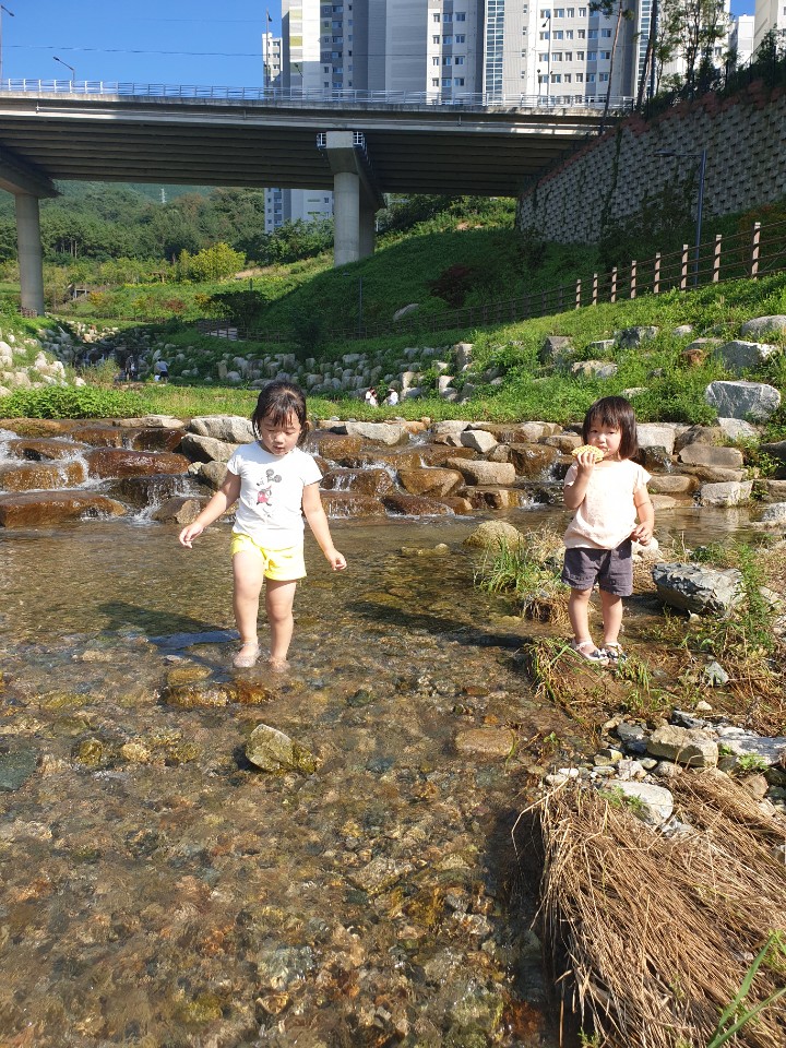  영어일기 영작 1th. August  2019