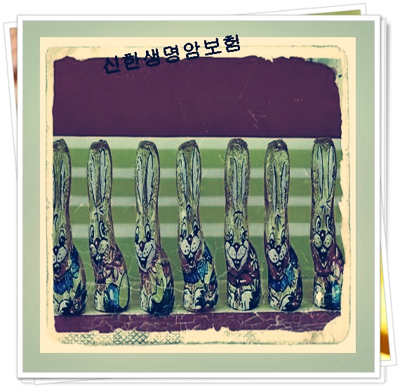  만기환급형보험 결정판