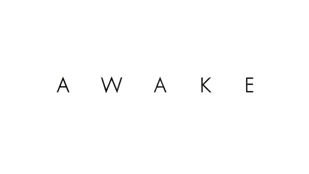 ScriptableObject - Awake()