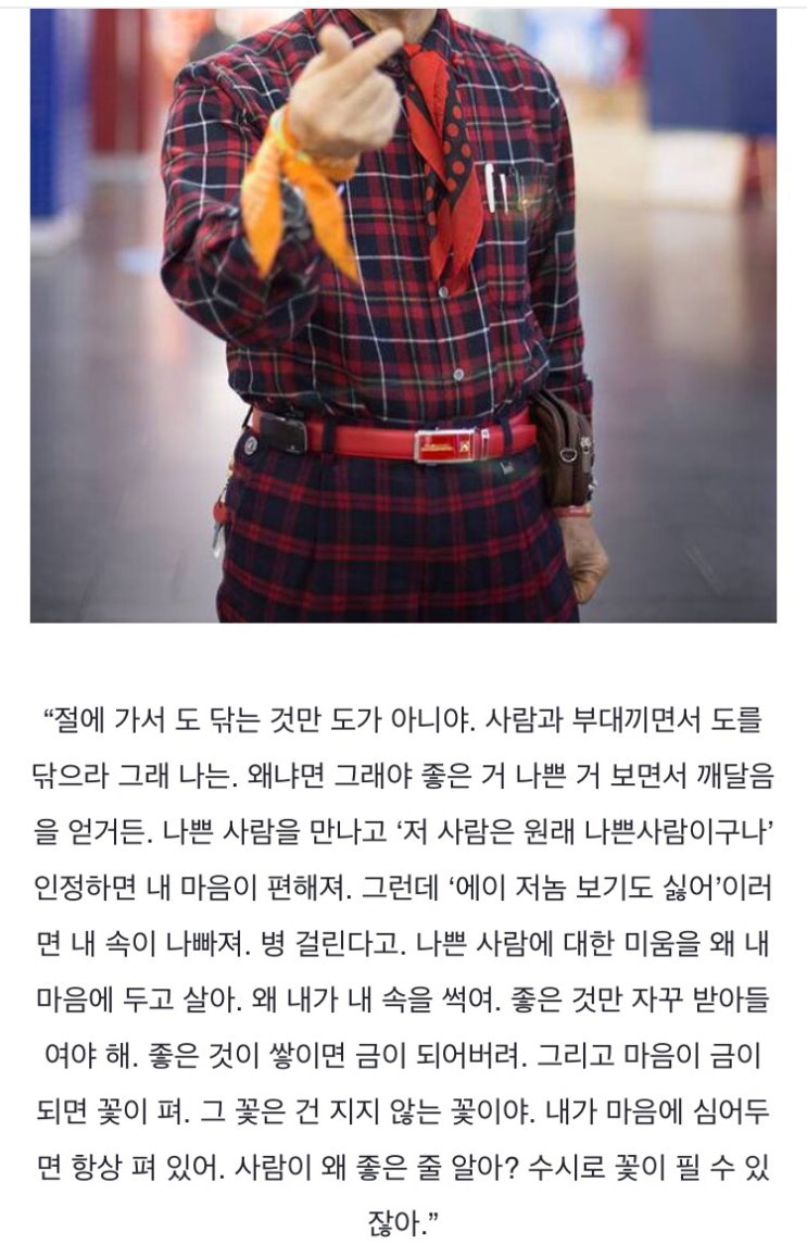  넌 진흙 속 연꽃 같은 존재다.