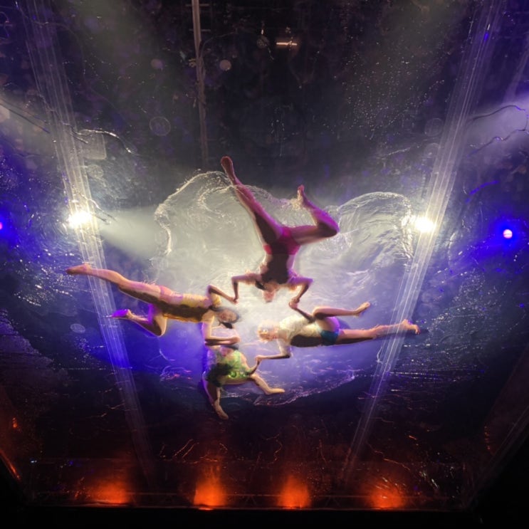  푸에르자부르타2019 : 푸에르자 부르타 웨이라 인 서울 [2019 FUERZA BRUTA WAYRA in SEOUL] - 푸에르자부르타가격, 푸에르자부르타위치, 푸에르자부르타할인