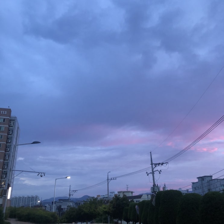  7월 일상 몰아치기