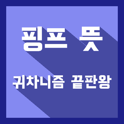  【핑프 뜻】 // 귀차니즘 끝판왕!!