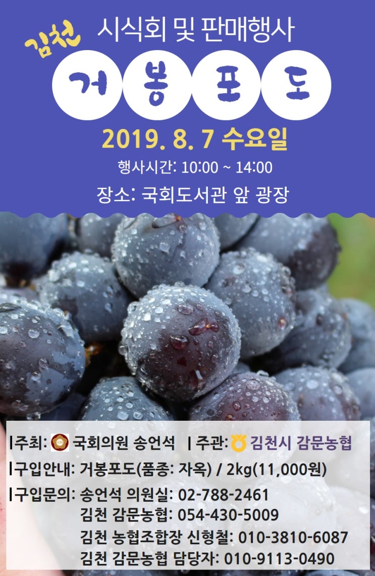  190802 [국회의원 송언석 카드뉴스]8.7 국회도서관 앞 김천 거봉포도 시식회 및 판매행사