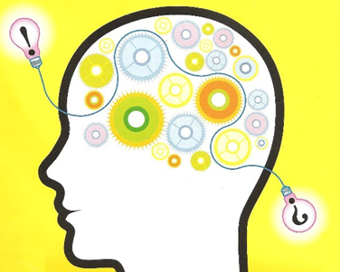 바코파 - 기억력,인지력,알츠하이머,ADHD,수험생 바코파 - 기억력,인지력,알츠하이머,ADHD,수험생