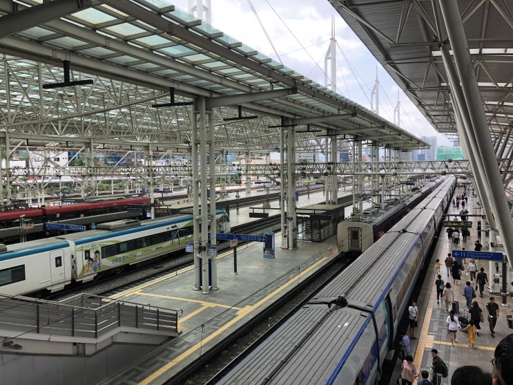  서울에서 부산까지 ktx 타고 슝간다~