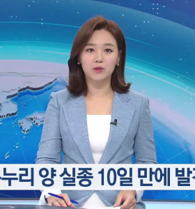  실종여중생 조은누리 생존확인 희망의날