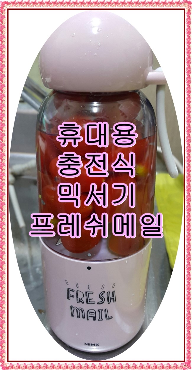  언제 어디서나 간편하게 휴대용 믹서기 프레쉬메일 