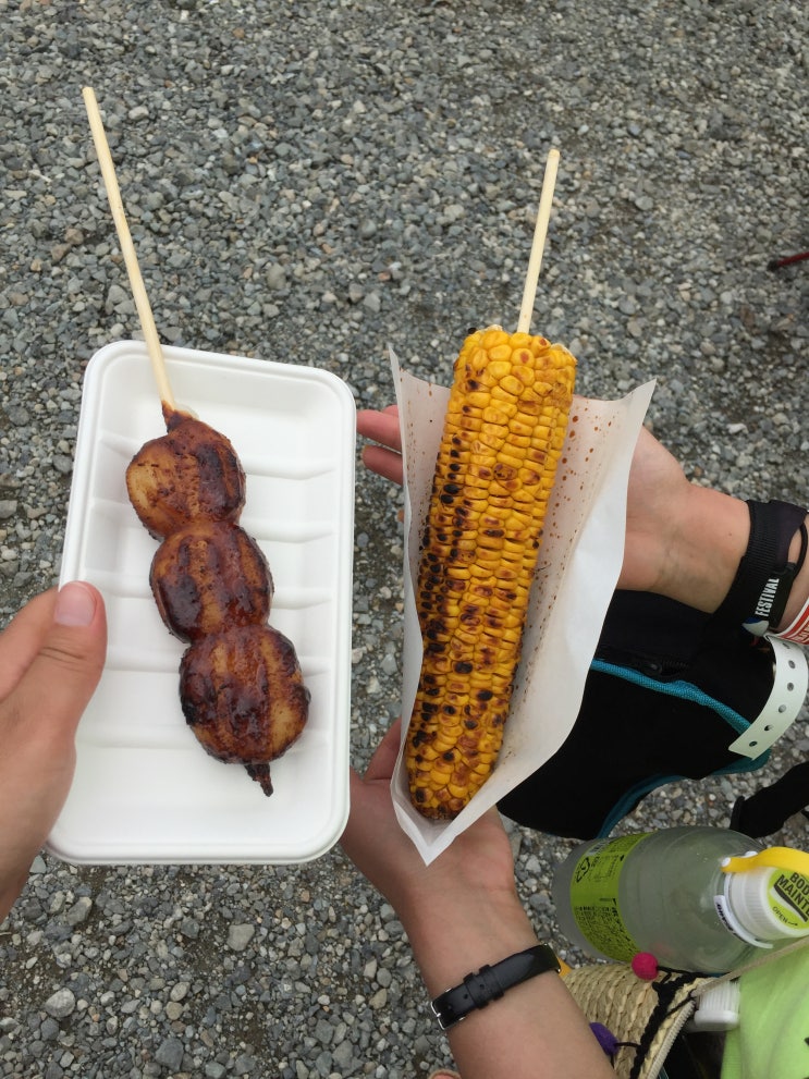  FUJI ROCK FASTIVAL'19 후기 - 3일차 (4)