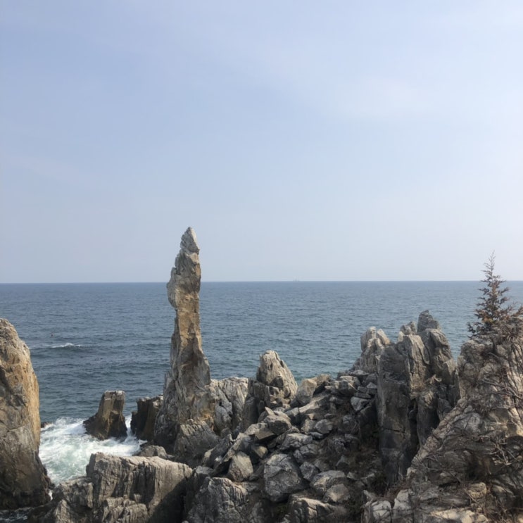  [강원도 여행] 강릉+삼척+양양+동해 여행