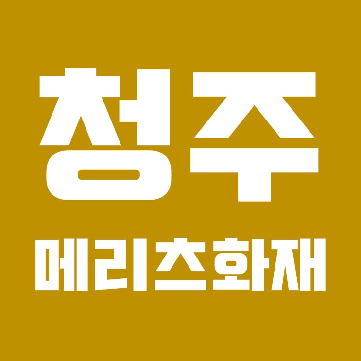  청주 메리츠화재 보험 리모델링 보장분석