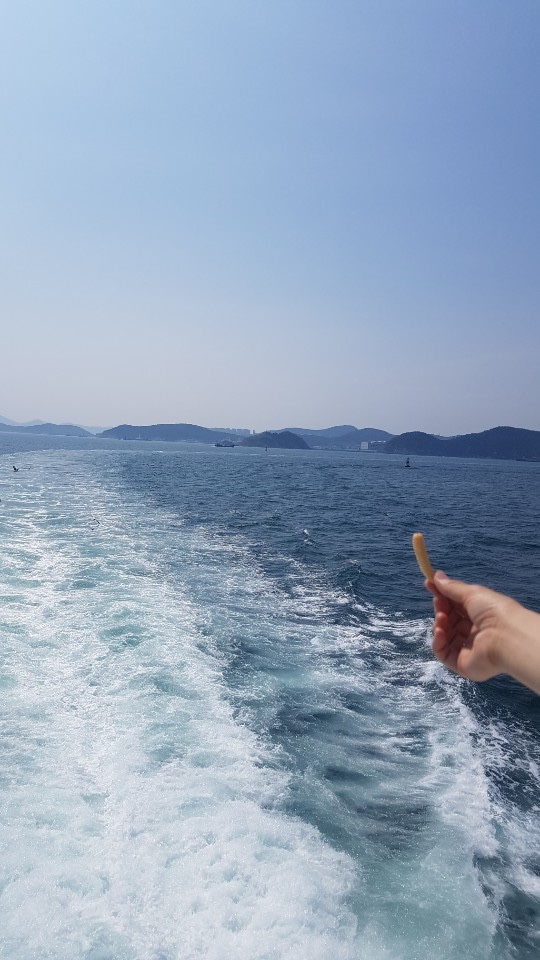  [부산여행] 가족이랑 자갈치크루즈 탑승(부산시민 할인)